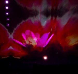 fantasmicflower