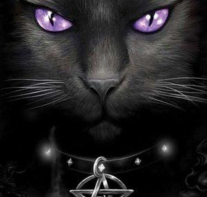 Gothy 87