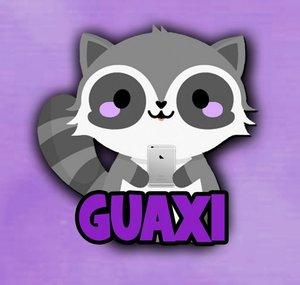 Guaxininha Play
