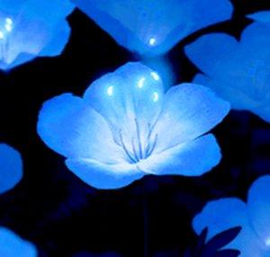 Hanamori 花✿森 Official