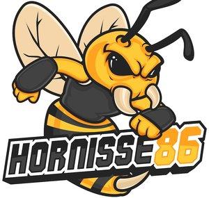 Hornisse86 “Hornisse86”
