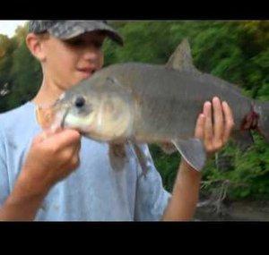 LegitFishermen