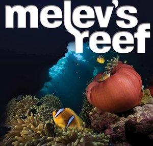 melevsreef