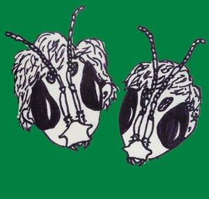 realhumanbees
