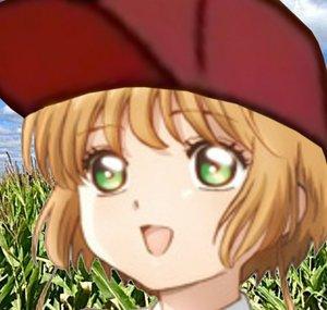 Sakura's Feed & Seed