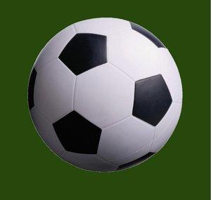 Sports News