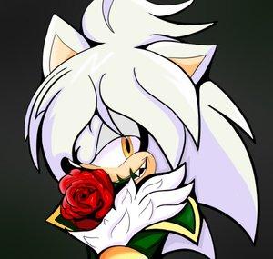 Steel The Hedgehog