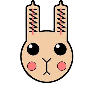 Usagi Electric