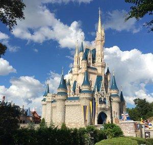 WDWPOV