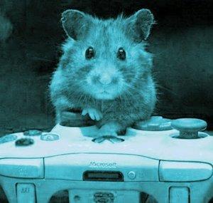 AngryHamsterGaming
