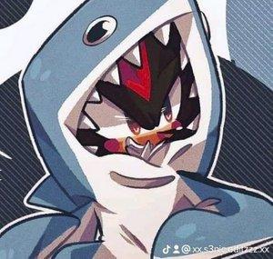 Animarod Sonic 