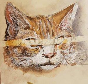 Arty Cat