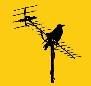 Bird Pen