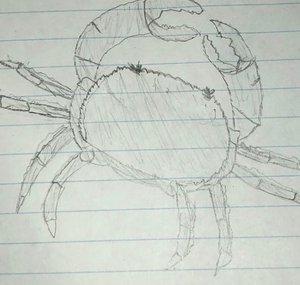 CrabCakes