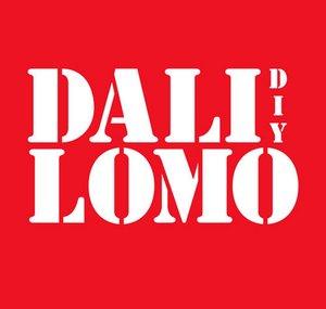 DaliLomo DIY
