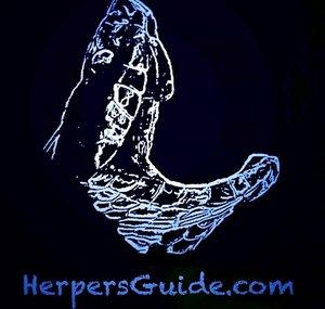 HerpersGuide