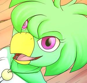 Lily the bird