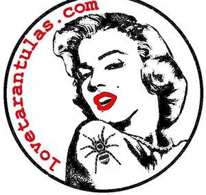 lovetarantulas