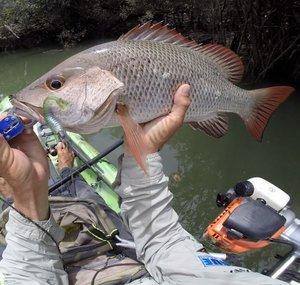 Luke's Kayak Fishing Adventures