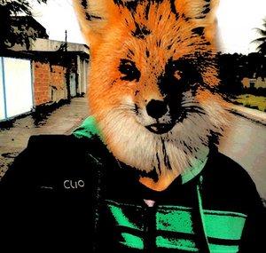 Mr Fox