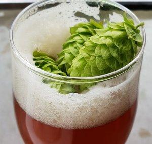 The Home Brew Network