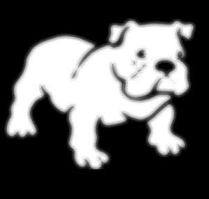 TwoGamingDogs