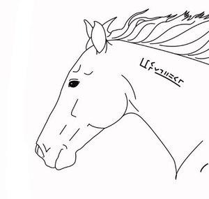 Wild Horse Studios