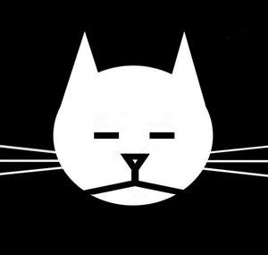 Alvi cat channel