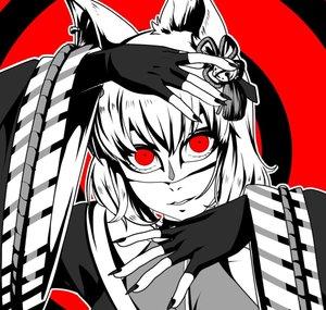 Cup the Kitsune