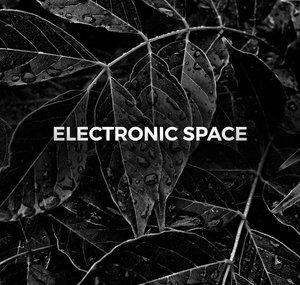 Electronic Space