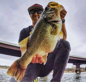 Jay Gone Fishin