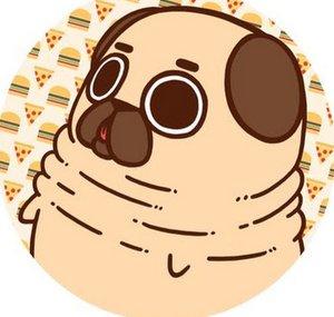Kleiner feiner Mops