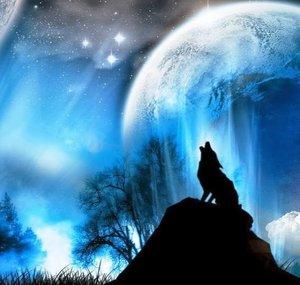 SuperMuddywolf