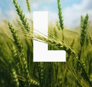 WDR Lokalzeit Land.Schafft.