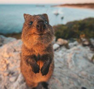 Western Australia
