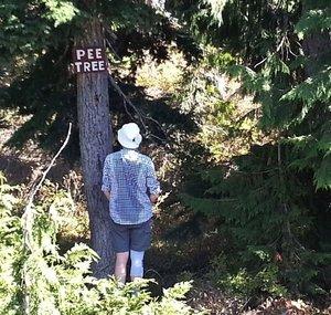 BC Backcountry Adventures
