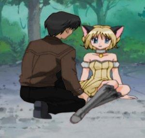 HeartlandMewMew
