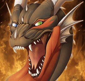 Hyshaji Nightdragon