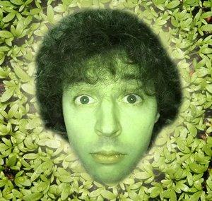 Let's Cress