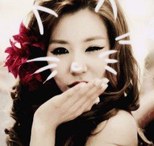 LoveSNSD Collabors