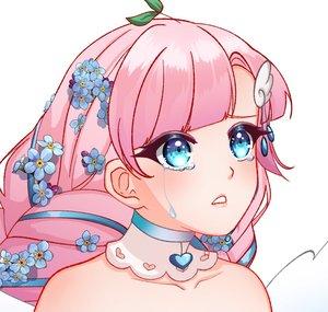 momoha ʚɞ