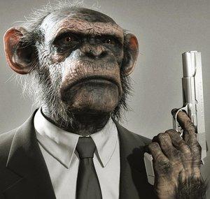 Monkey c monkey doo
