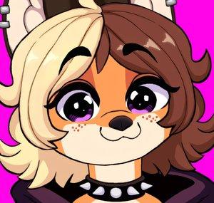 Rikki Vulpes