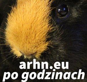 arhn2eu - arhn.eu po godzinach