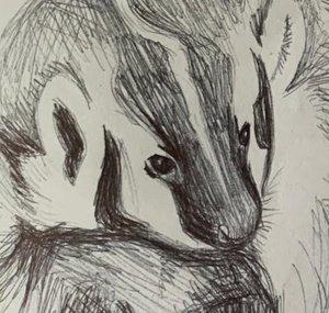 BadgerDad
