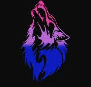 BiFirewolf Gaming