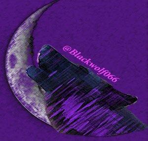 blackwolf066