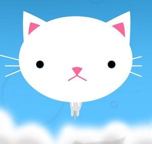 Cat Face