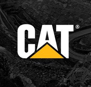 Cat Mining