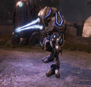 Devoted Sentry
